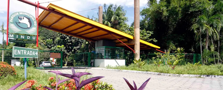 Trilhas ecológicas no Parque do Mindu